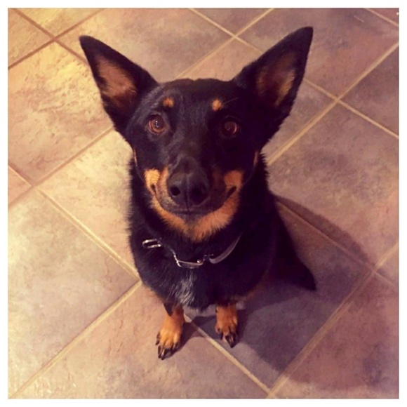 Meet your Posher, Emily - Picture 1 of 1